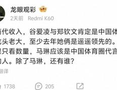 世界杯-乒乓球选手代言情况分析