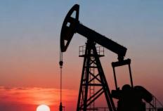 2026世界杯竞猜-克宫派定心丸：印度进口俄油下滑只是“暂时的”，俄方有“黑科技”