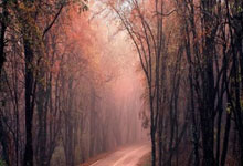 2026世界杯下注-英超神剧情：门将两次失误送大礼，领头羊接近冠军，阿尔特塔挥拳狂欢