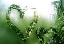 2026世界杯竞猜-15岁新星闪耀橘子碗 孙心然创造中国网球历史